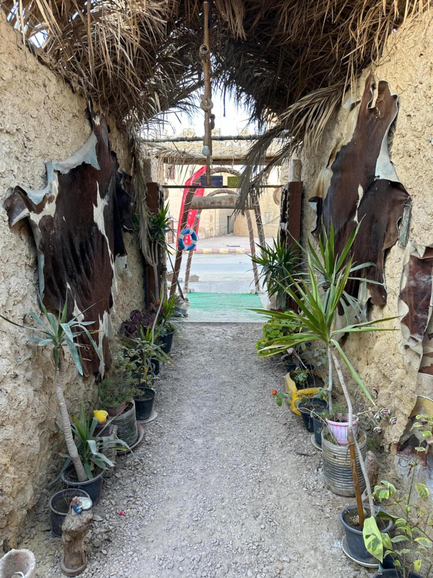Hotel Muhra Camp Siwa Siwa Oasis Esterno foto